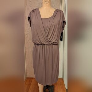 Suzi Chin for Maggy Boutique Soft Mauve Midi Dress